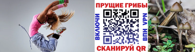Галлюциногенные грибы мицелий  Купить где  Алапаевск 
